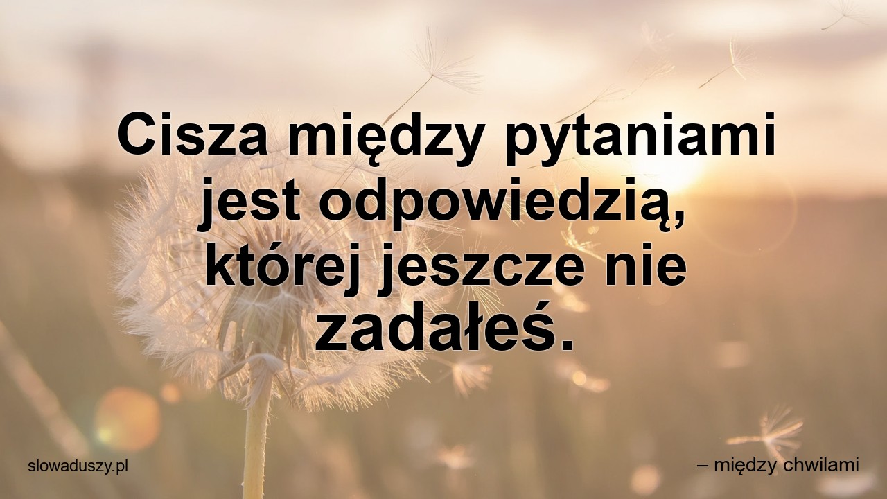Cisza między pytaniami jest odpowiedzią,  której jeszcze nie zadałeś.