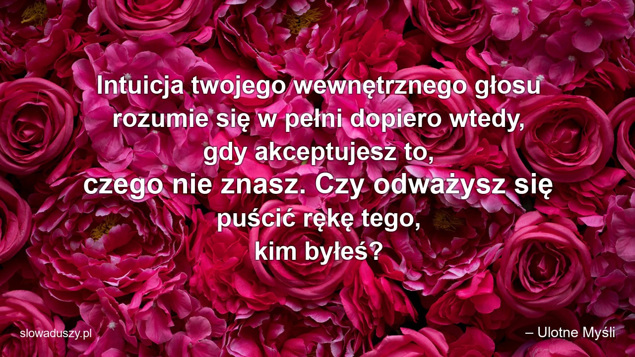 Intuicja twojego wewnętrznego głosu rozumie się w pełni dopiero wtedy,  gdy akceptujesz to,  czego nie znasz. Czy odważysz się puścić rękę tego,  kim byłeś?
