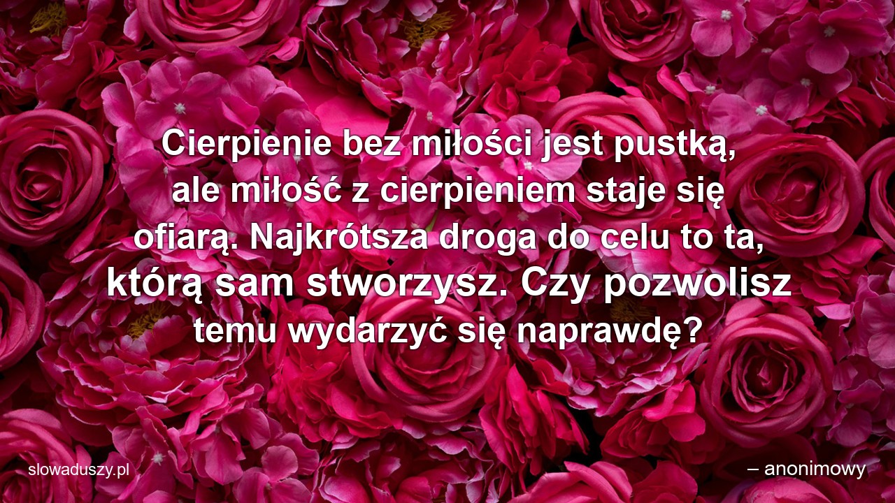 Cierpienie bez miłości jest pustką,  ale miłość z cierpieniem staje się ofiarą. Najkrótsza droga do celu to ta,  którą sam stworzysz. Czy pozwolisz temu wydarzyć się naprawdę?