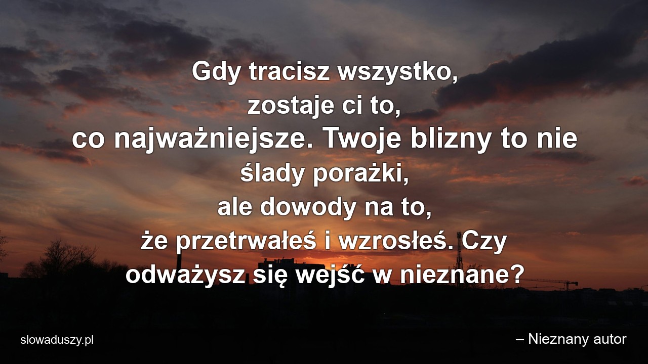 Gdy tracisz wszystko,  zostaje ci to,  co najważniejsze. Twoje blizny to nie ślady porażki,  ale dowody na to,  że przetrwałeś i wzrosłeś. Czy odważysz się wejść w nieznane?