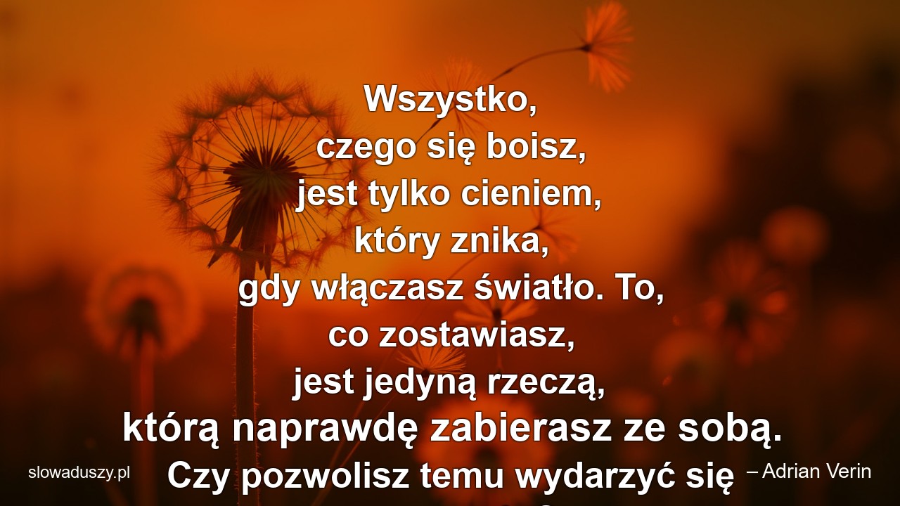 Wszystko,  czego się boisz,  jest tylko cieniem,  który znika,  gdy włączasz światło. To,  co zostawiasz,  jest jedyną rzeczą,  którą naprawdę zabierasz ze sobą. Czy pozwolisz temu wydarzyć się naprawdę?