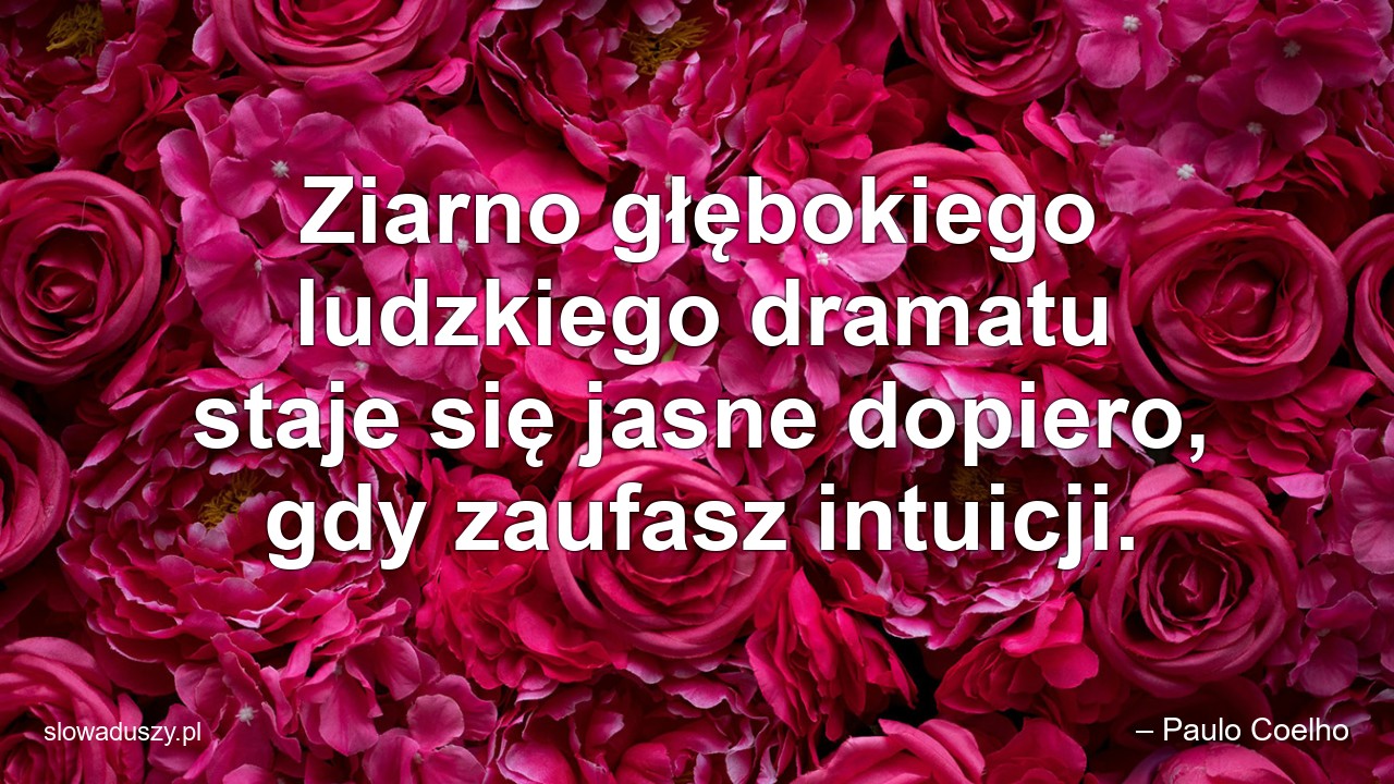 Ziarno głębokiego ludzkiego dramatu staje się jasne dopiero,  gdy zaufasz intuicji.