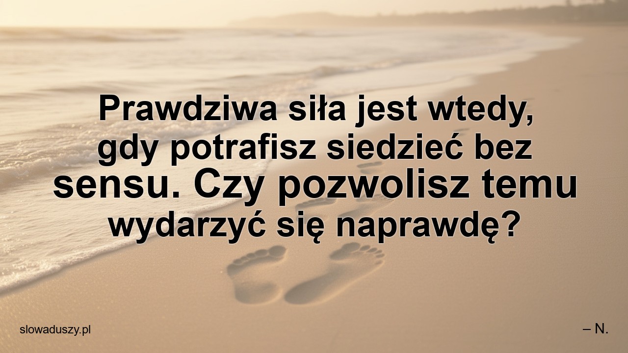 Prawdziwa siła jest wtedy,  gdy potrafisz siedzieć bez sensu. Czy pozwolisz temu wydarzyć się naprawdę?