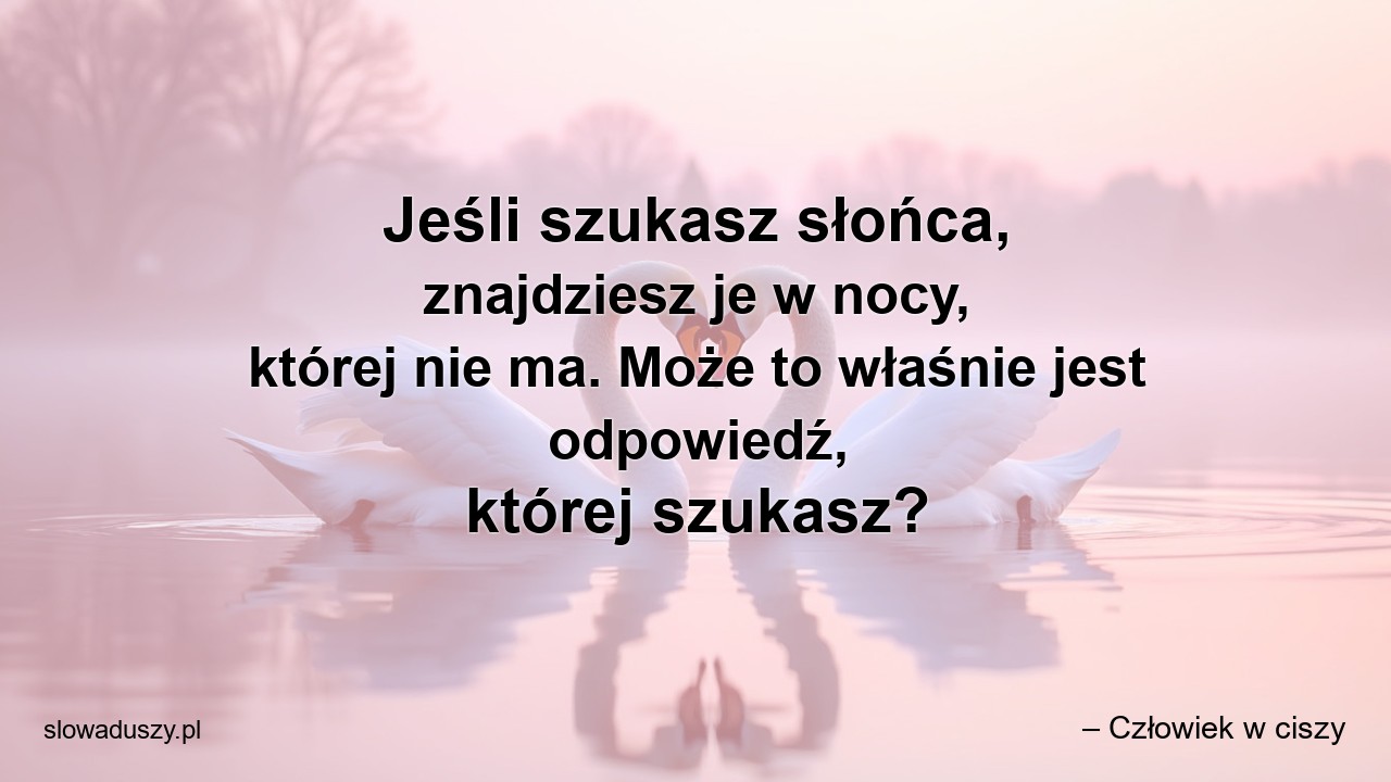 Jeśli szukasz słońca,  znajdziesz je w nocy,  której nie ma. Może to właśnie jest odpowiedź,  której szukasz?