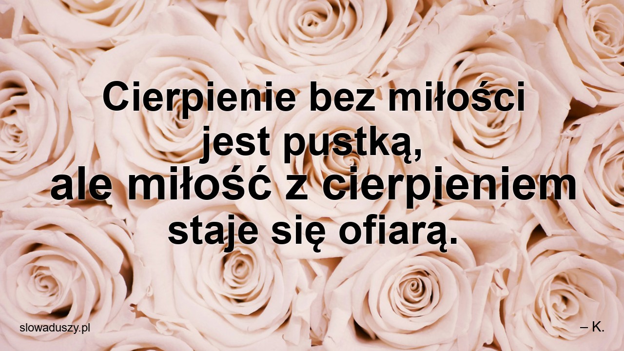 Cierpienie bez miłości jest pustką,  ale miłość z cierpieniem staje się ofiarą.