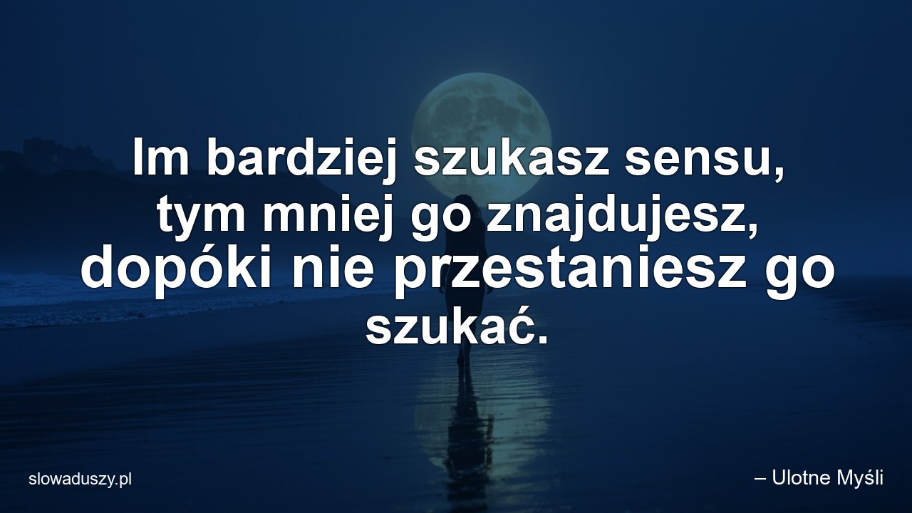 Im bardziej szukasz sensu,  tym mniej go znajdujesz,  dopóki nie przestaniesz go szukać.