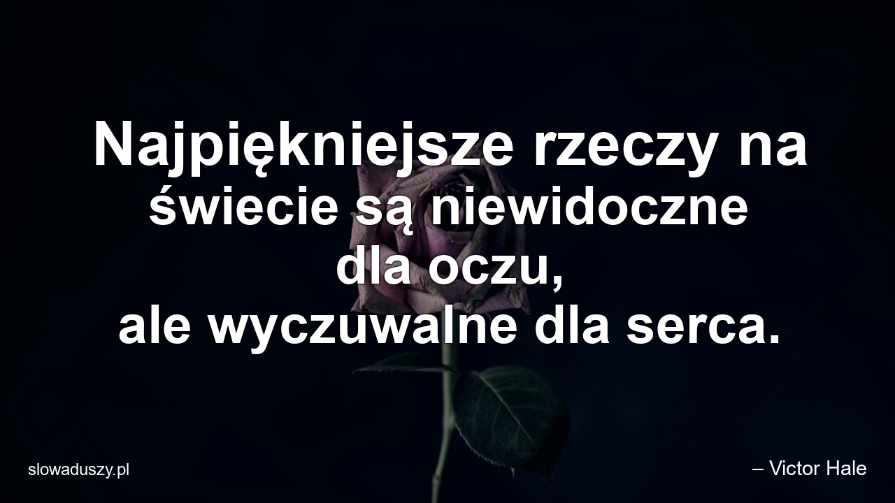 Najpiękniejsze rzeczy na świecie są niewidoczne dla oczu,  ale wyczuwalne dla serca.