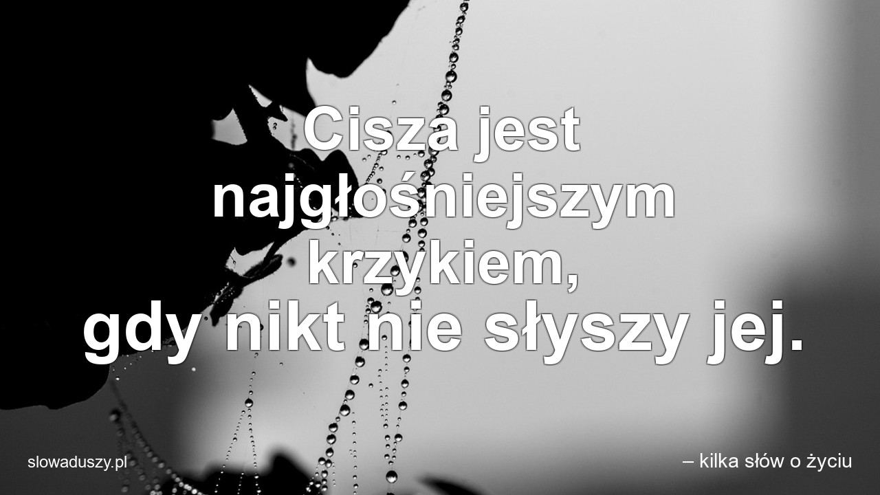Cisza jest najgłośniejszym krzykiem,  gdy nikt nie słyszy jej.