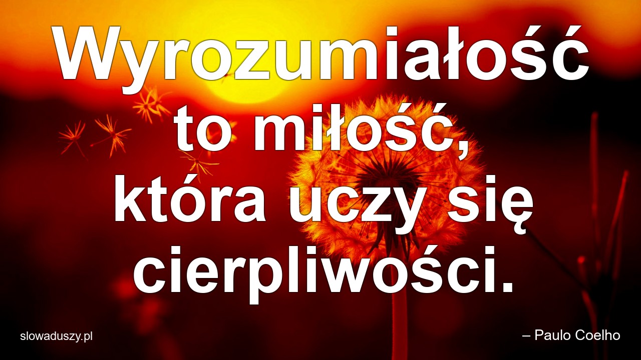 Wyrozumiałość to miłość,  która uczy się cierpliwości.