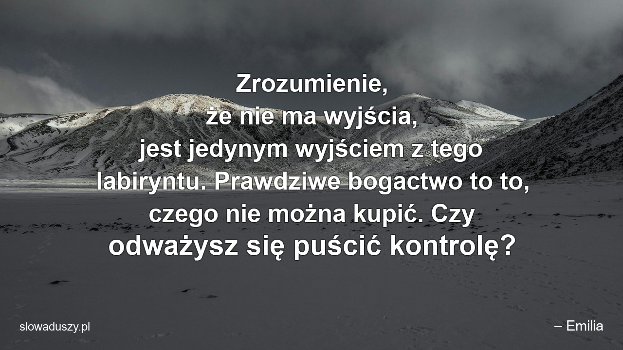 Zrozumienie,  że nie ma wyjścia,  jest jedynym wyjściem z tego labiryntu. Prawdziwe bogactwo to to,  czego nie można kupić. Czy odważysz się puścić kontrolę?