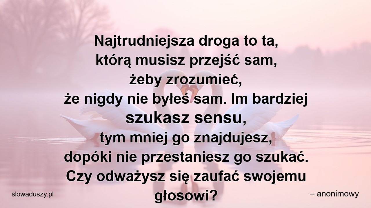 Najtrudniejsza droga to ta,  którą musisz przejść sam,  żeby zrozumieć,  że nigdy nie byłeś sam. Im bardziej szukasz sensu,  tym mniej go znajdujesz,  dopóki nie przestaniesz go szukać. Czy odważysz się zaufać swojemu głosowi?