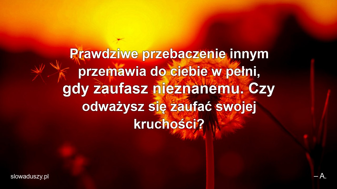 Prawdziwe przebaczenie innym przemawia do ciebie w pełni,  gdy zaufasz nieznanemu. Czy odważysz się zaufać swojej kruchości?