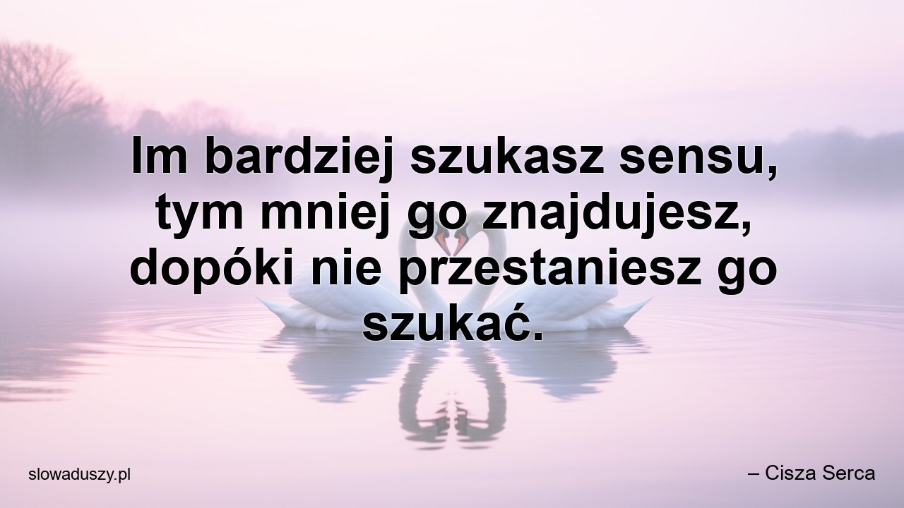 Im bardziej szukasz sensu,  tym mniej go znajdujesz,  dopóki nie przestaniesz go szukać.