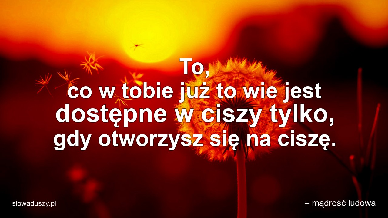 To,  co w tobie już to wie jest dostępne w ciszy tylko,  gdy otworzysz się na ciszę.