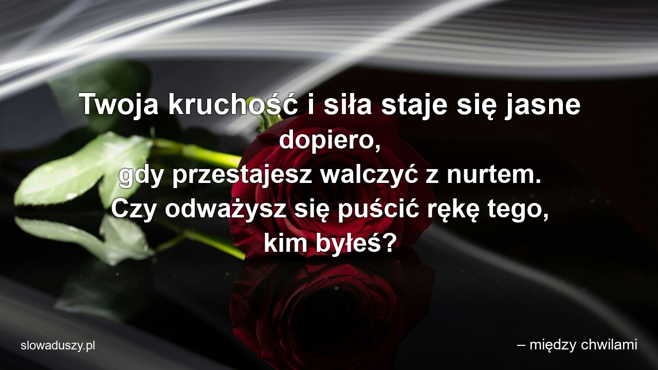 Twoja kruchość i siła staje się jasne dopiero,  gdy przestajesz walczyć z nurtem. Czy odważysz się puścić rękę tego,  kim byłeś?
