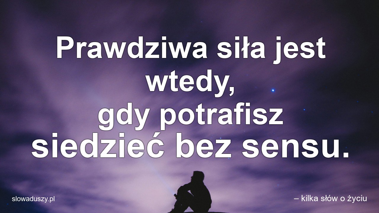 Prawdziwa siła jest wtedy,  gdy potrafisz siedzieć bez sensu.