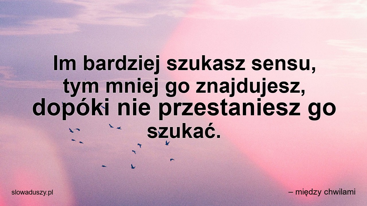 Im bardziej szukasz sensu,  tym mniej go znajdujesz,  dopóki nie przestaniesz go szukać.