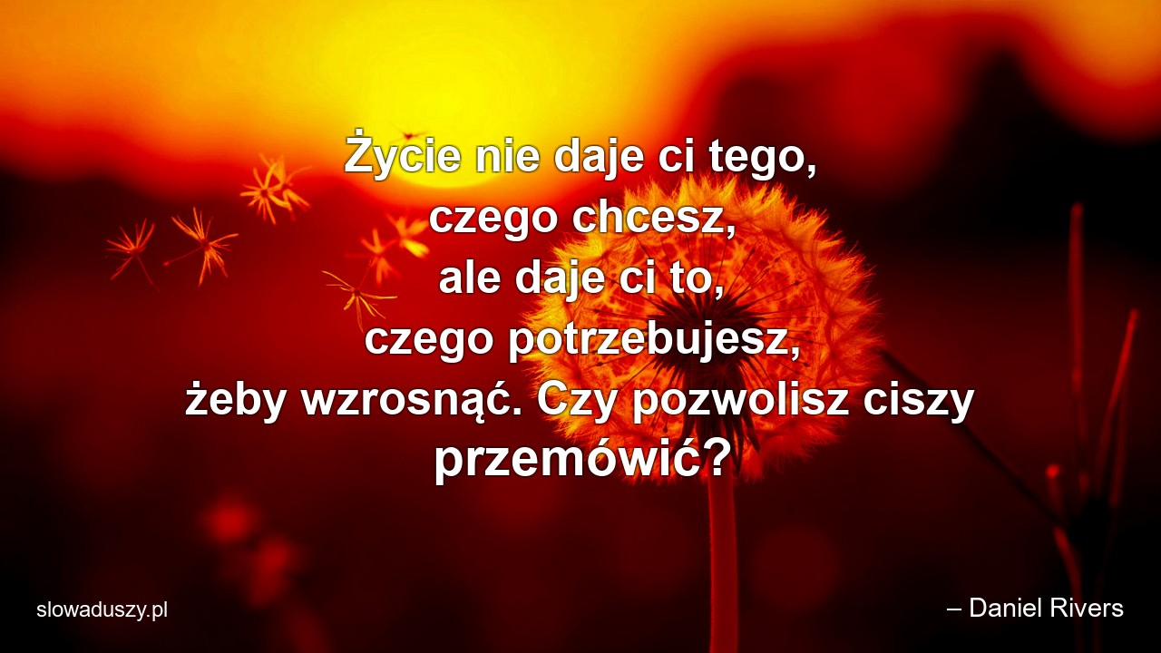 Życie nie daje ci tego,  czego chcesz,  ale daje ci to,  czego potrzebujesz,  żeby wzrosnąć. Czy pozwolisz ciszy przemówić?