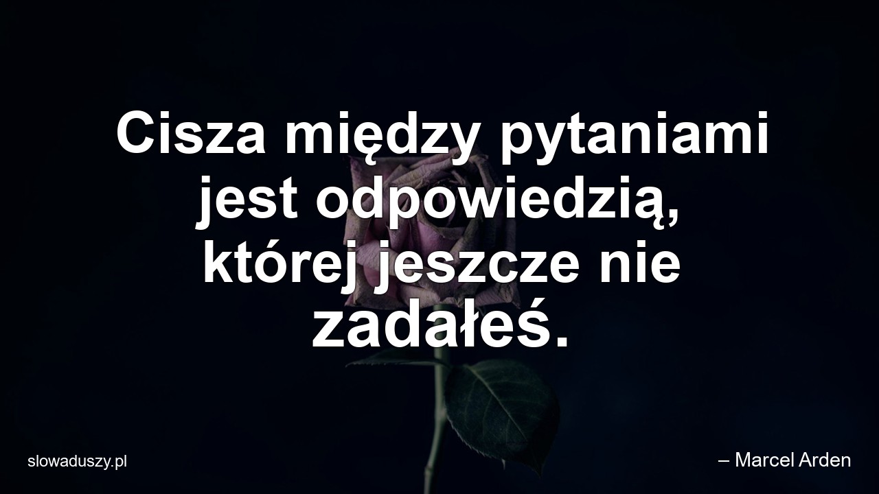 Cisza między pytaniami jest odpowiedzią,  której jeszcze nie zadałeś.