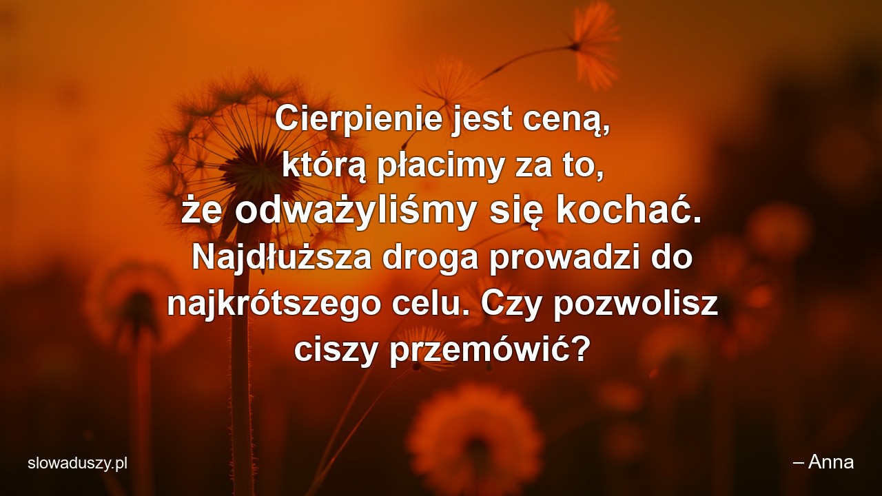 Cierpienie jest ceną,  którą płacimy za to,  że odważyliśmy się kochać. Najdłuższa droga prowadzi do najkrótszego celu. Czy pozwolisz ciszy przemówić?