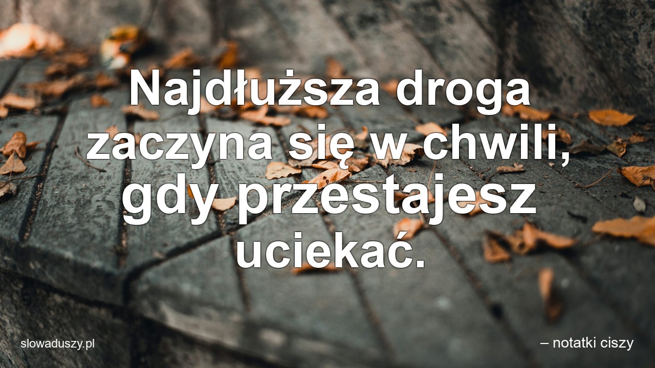 Najdłuższa droga zaczyna się w chwili,  gdy przestajesz uciekać.