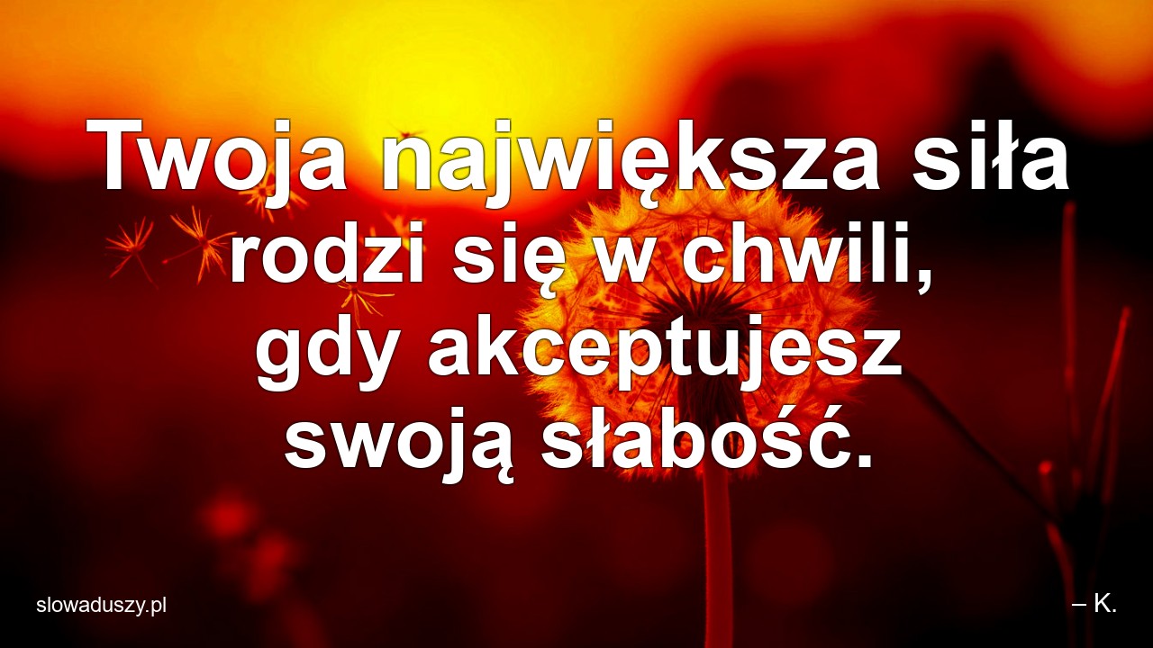 Twoja największa siła rodzi się w chwili,  gdy akceptujesz swoją słabość.