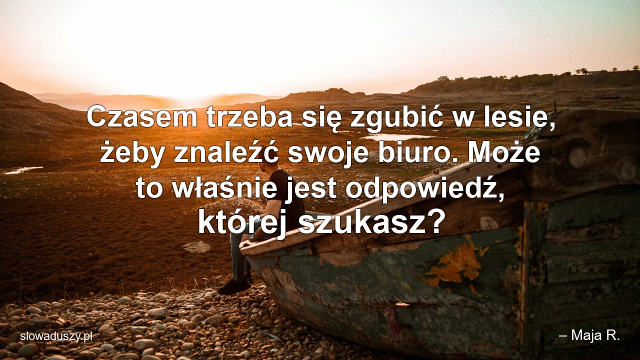 Czasem trzeba się zgubić w lesie,  żeby znaleźć swoje biuro. Może to właśnie jest odpowiedź,  której szukasz?