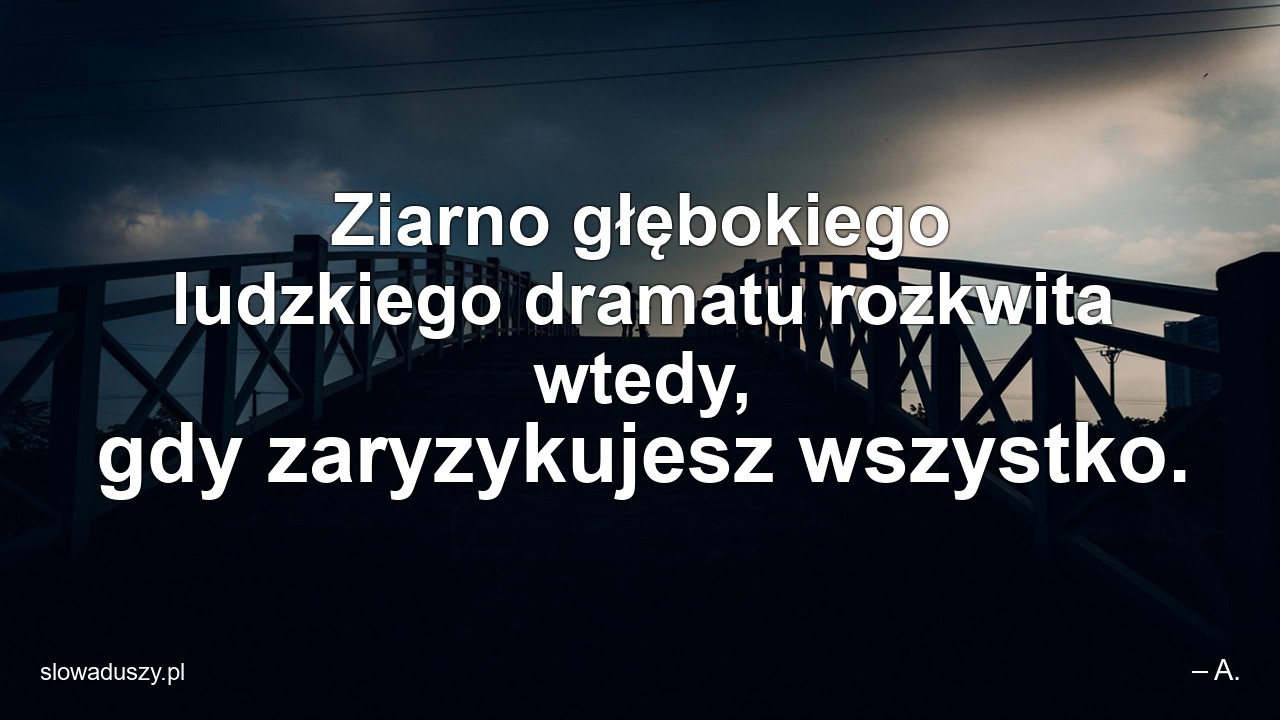 Ziarno głębokiego ludzkiego dramatu rozkwita wtedy,  gdy zaryzykujesz wszystko.