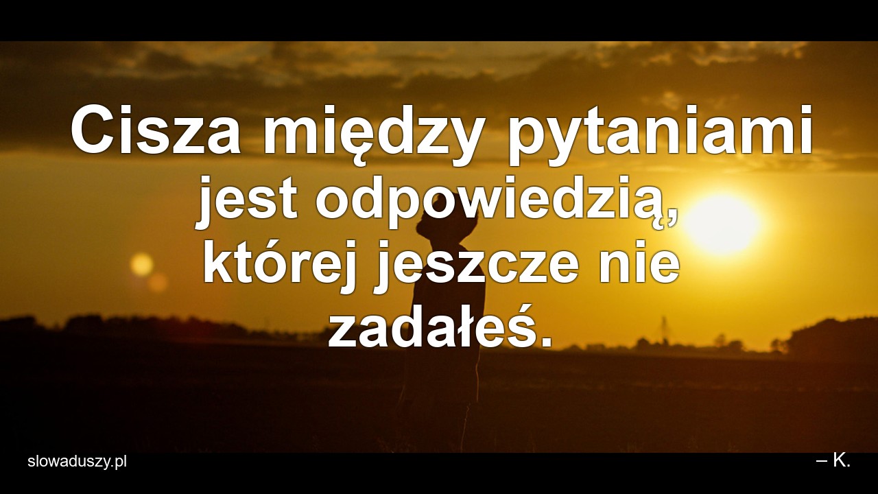 Cisza między pytaniami jest odpowiedzią,  której jeszcze nie zadałeś.