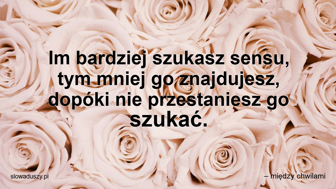 Im bardziej szukasz sensu,  tym mniej go znajdujesz,  dopóki nie przestaniesz go szukać.