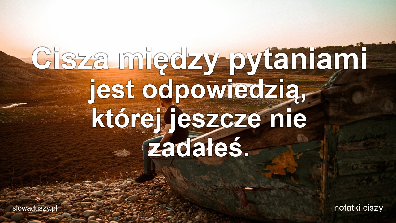 Cisza między pytaniami jest odpowiedzią,  której jeszcze nie zadałeś.