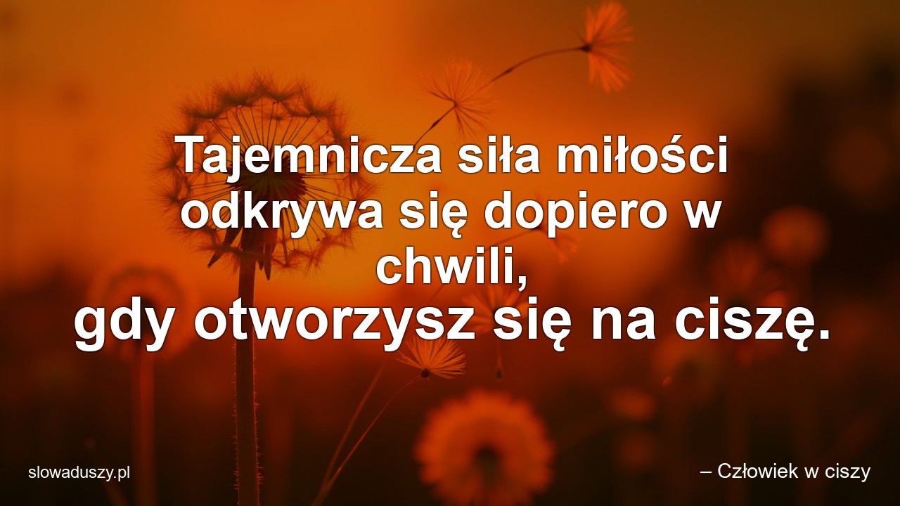 Tajemnicza siła miłości odkrywa się dopiero w chwili,  gdy otworzysz się na ciszę.
