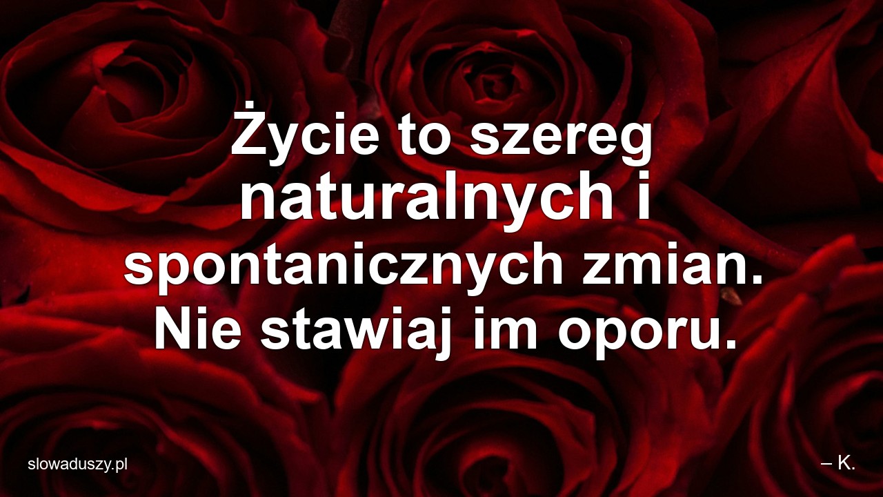 Życie to szereg naturalnych i spontanicznych zmian. Nie stawiaj im oporu.