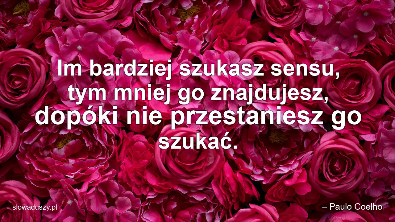 Im bardziej szukasz sensu,  tym mniej go znajdujesz,  dopóki nie przestaniesz go szukać.