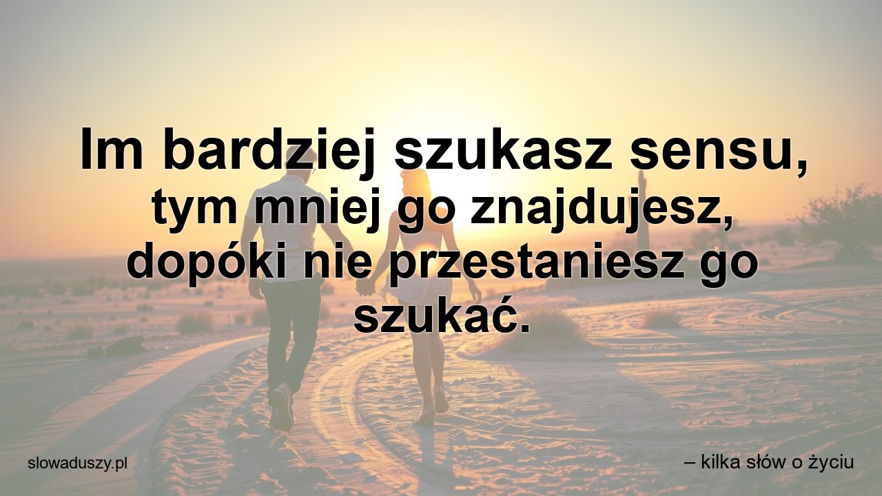 Im bardziej szukasz sensu,  tym mniej go znajdujesz,  dopóki nie przestaniesz go szukać.
