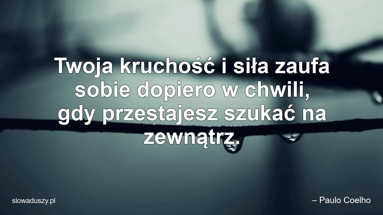 Twoja kruchość i siła zaufa sobie dopiero w chwili,  gdy przestajesz szukać na zewnątrz.