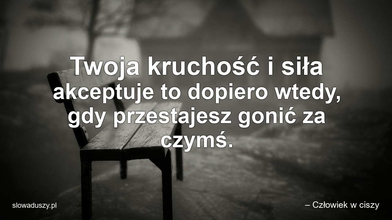 Twoja kruchość i siła akceptuje to dopiero wtedy,  gdy przestajesz gonić za czymś.