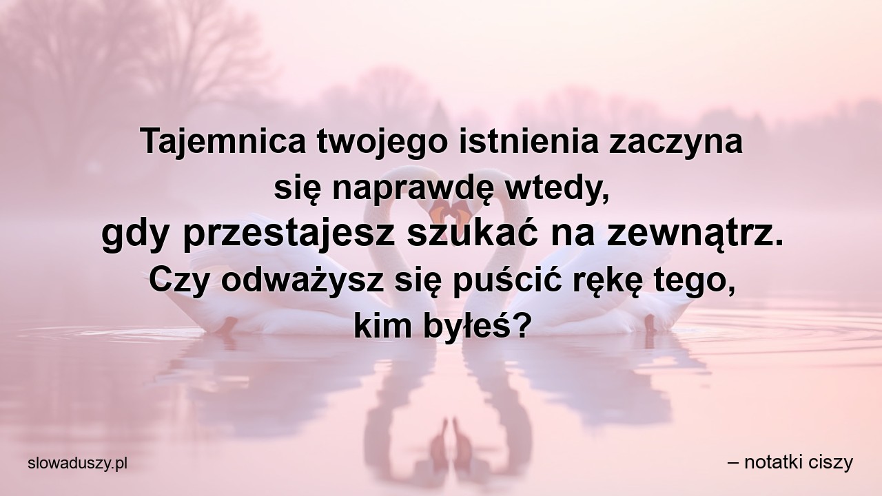 Tajemnica twojego istnienia zaczyna się naprawdę wtedy,  gdy przestajesz szukać na zewnątrz. Czy odważysz się puścić rękę tego,  kim byłeś?