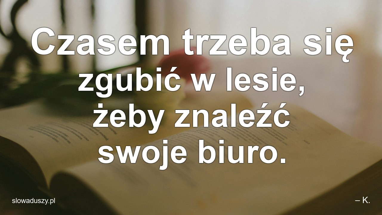 Czasem trzeba się zgubić w lesie,  żeby znaleźć swoje biuro.