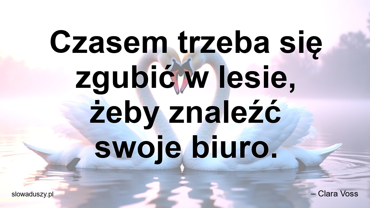 Czasem trzeba się zgubić w lesie,  żeby znaleźć swoje biuro.