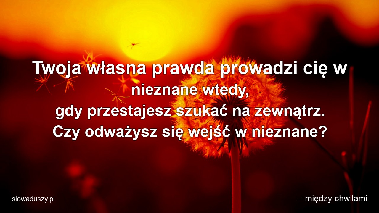Twoja własna prawda prowadzi cię w nieznane wtedy,  gdy przestajesz szukać na zewnątrz. Czy odważysz się wejść w nieznane?