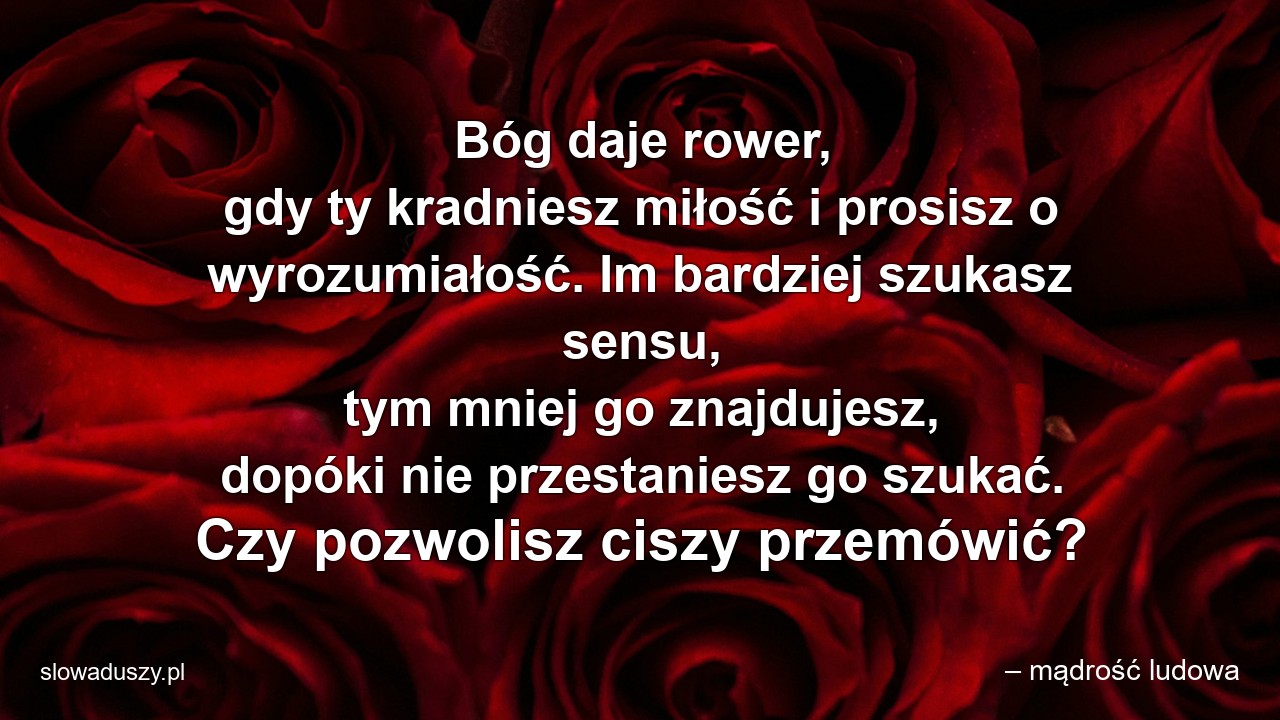 Bóg daje rower,  gdy ty kradniesz miłość i prosisz o wyrozumiałość. Im bardziej szukasz sensu,  tym mniej go znajdujesz,  dopóki nie przestaniesz go szukać. Czy pozwolisz ciszy przemówić?