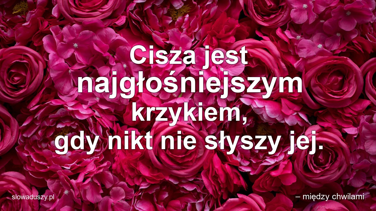 Cisza jest najgłośniejszym krzykiem,  gdy nikt nie słyszy jej.
