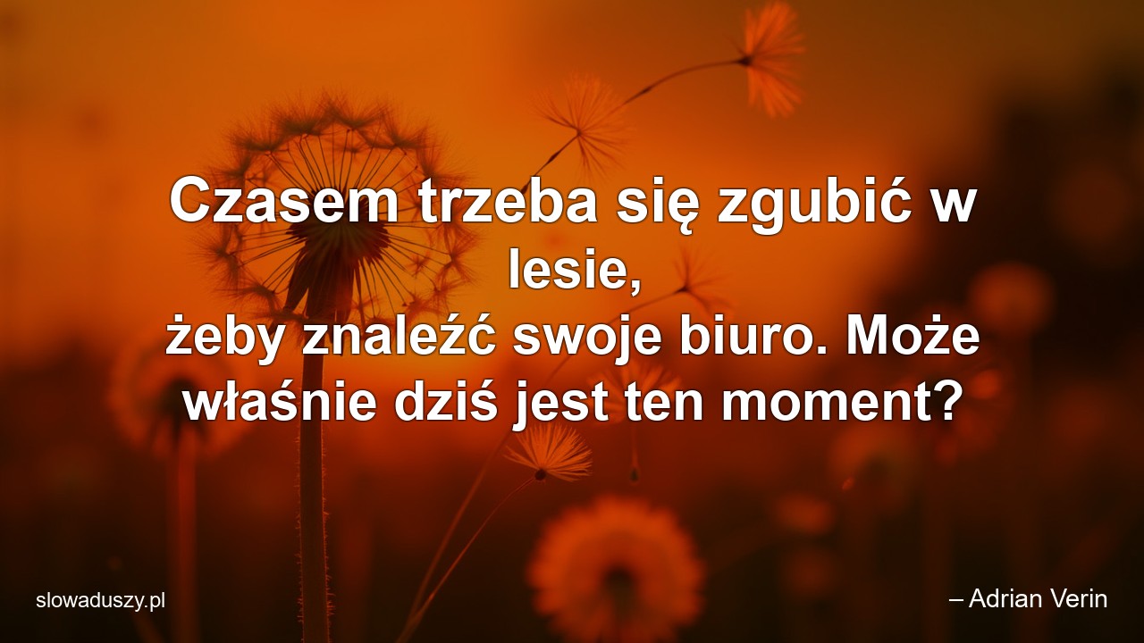 Czasem trzeba się zgubić w lesie,  żeby znaleźć swoje biuro. Może właśnie dziś jest ten moment?