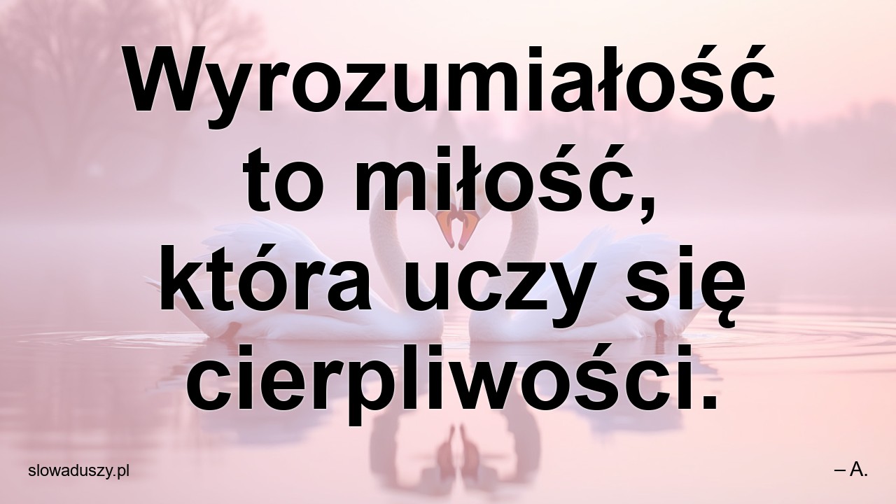 Wyrozumiałość to miłość,  która uczy się cierpliwości.